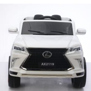 تصویر از ماشین شارژی لکسوس آکسون AX 2119
